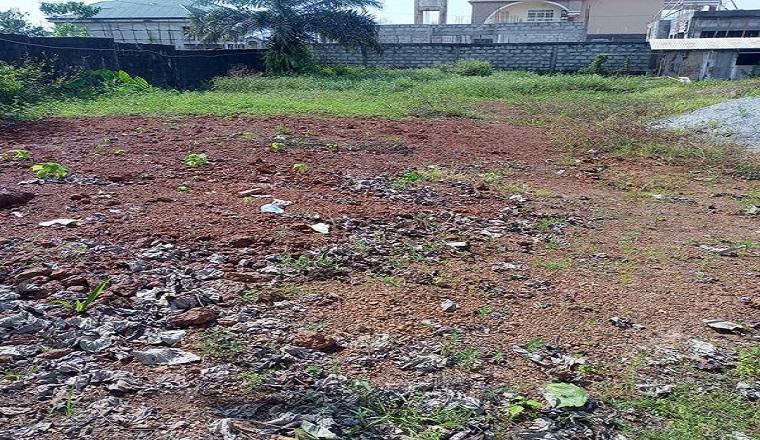 Parcelles à vendre à Conakry