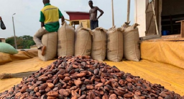 Vente cacao (poudre, beurre, tourteau)