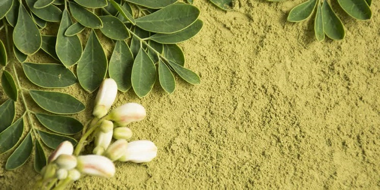 VENTE DE MORINGA