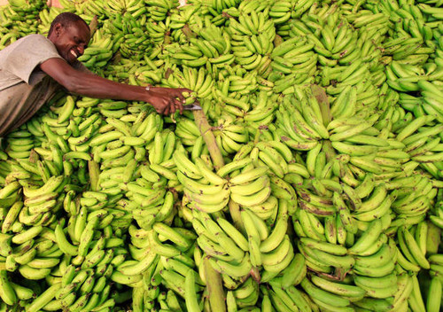 Partenaire : produits agricoles et industriels