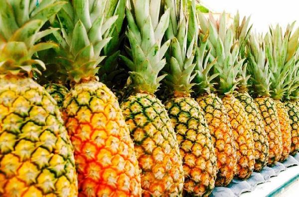 Vente d’ananas en grande quantité