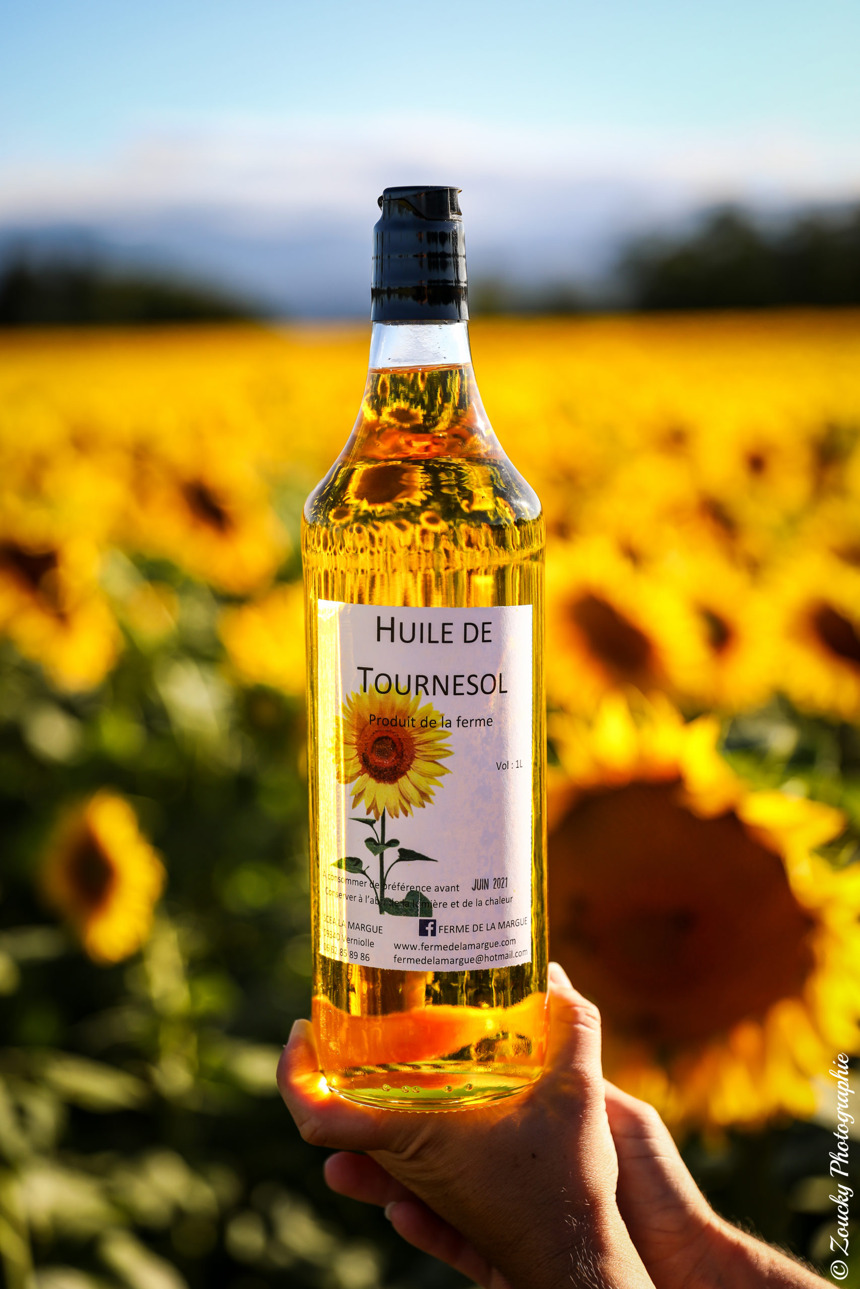 Huile Tournesol en vente